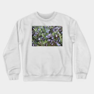 Rosemary Crewneck Sweatshirt